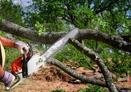 Best Weed Control  in Port Sulphur, LA